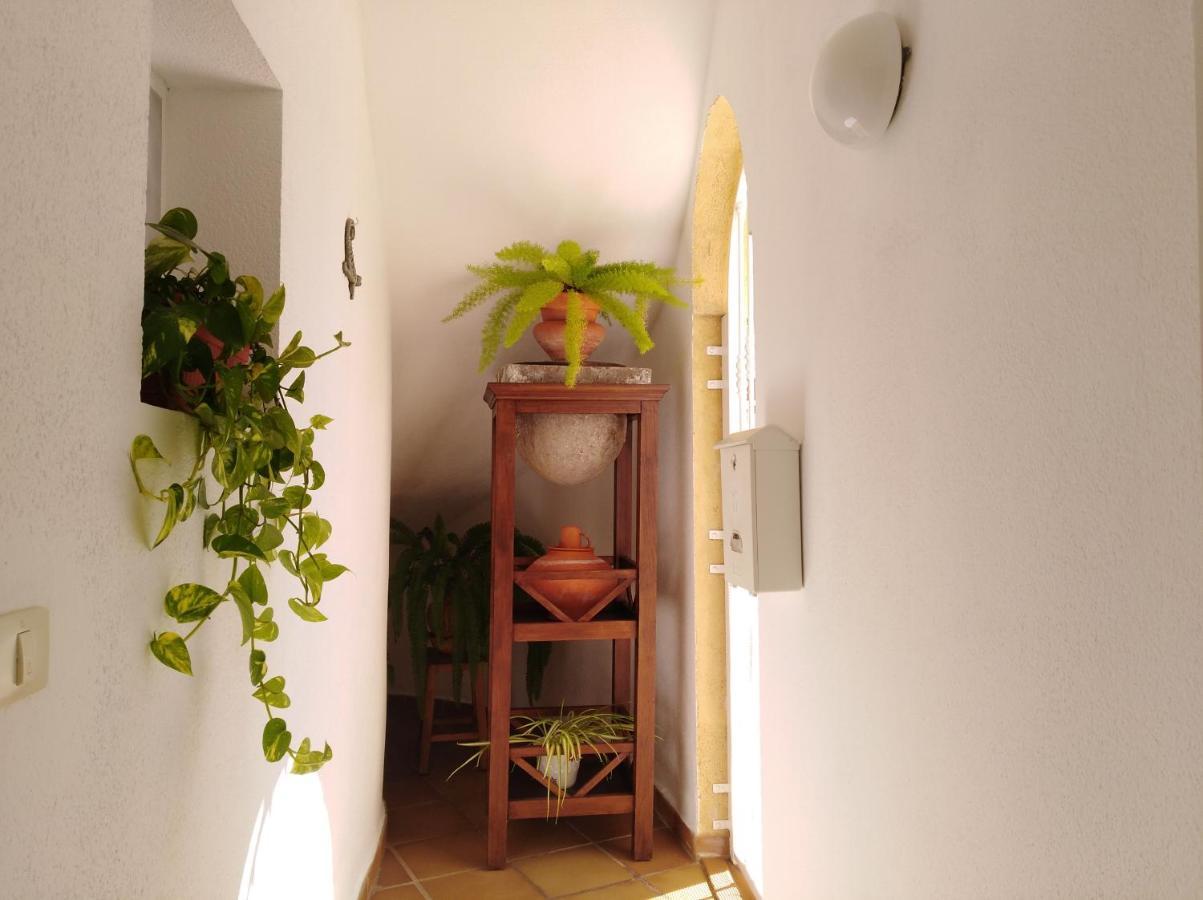 אדחה Apto. Pina De Mar מראה חיצוני תמונה